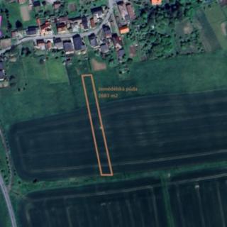 Prodej zemědělské půdy 8127 m² Píšť
