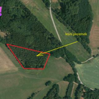 Prodej lesa 12 580 m² Cehnice