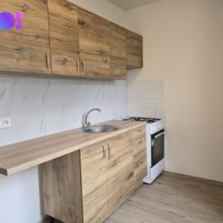 Pronájem bytu 2+1 55 m² Ostrava Hrabůvka, U Lesa