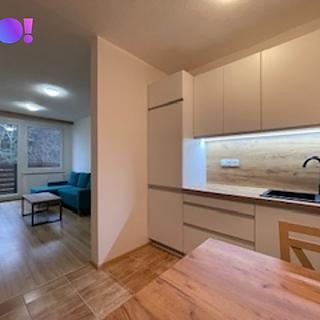 Pronájem bytu 2+1 42 m² Všemina