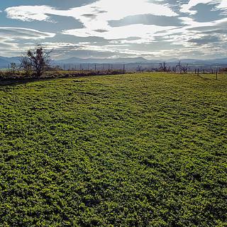 Prodej stavební parcely 4 357 m² Těrlicko