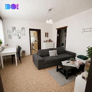 Prodej bytu 2+1 43 m² Ostrava Bělský Les, Vlasty Vlasákové