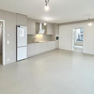 Pronájem kanceláře 59 m² Ostrava Moravská Ostrava, F. X. Riepla