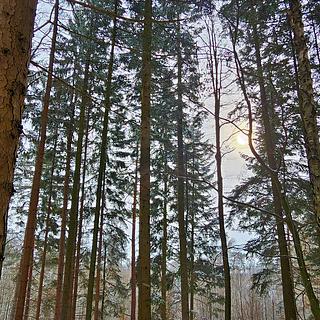 Prodej ostatního pozemku 17 190 m² Liptál