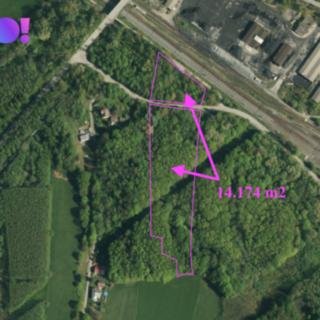 Prodej lesa 11 120 m² Dětmarovice