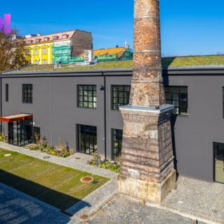 Pronájem kanceláře 436 m² Český Těšín