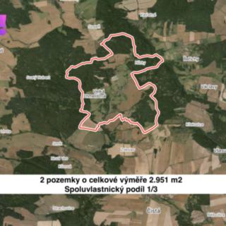 Prodej zemědělské půdy 984 m² Velká Chmelištná