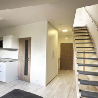 Pronájem bytu 1+1 45 m² České Budějovice 1, Hradební