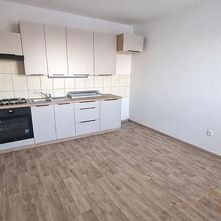 Pronájem bytu 2+1 55 m² Spálené Poříčí Lipnice