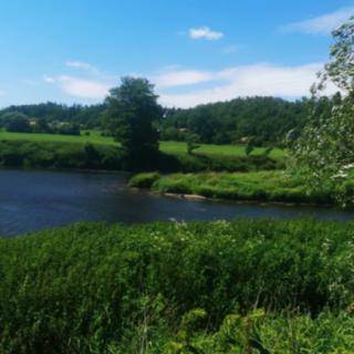 Prodej zemědělské půdy 4 896 m² Chrást