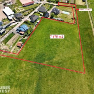 Prodej zemědělské půdy 8589 m² Borek