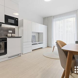 Prodej bytu 1+kk a garsoniéry 28 m² Ostrava Mariánské Hory, Výstavní