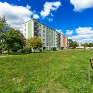 Prodej bytu 3+1 67 m² Plzeň Lobzy, Nad Dalmatinkou
