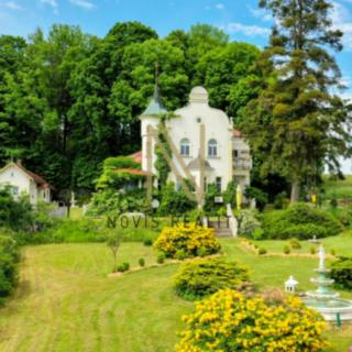 Prodej hotelu a penzionu 517 m² Česká Kubice