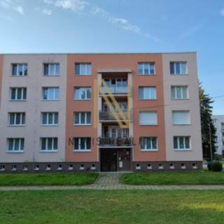 Pronájem bytu 2+1 58 m² Domažlice Týnské Předměstí, Švabinského