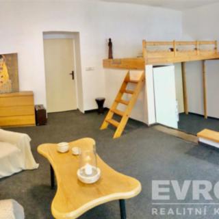 Pronájem bytu 1+kk a garsoniéry 47 m² Praha Žižkov, Biskupcova