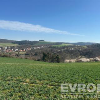 Prodej stavební parcely 1 961 m² Plasy