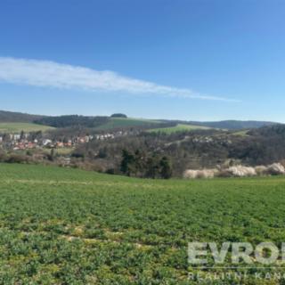 Prodej stavební parcely 1 290 m² Plasy