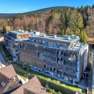 Prodej bytu 1+kk a garsoniéry 34 m² Harrachov