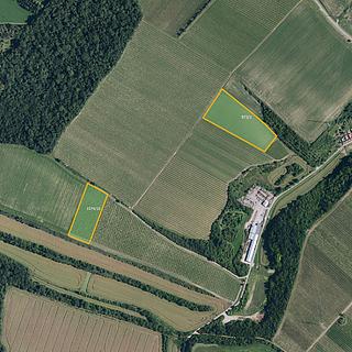 Prodej ostatního pozemku 30 390 m² Bulhary