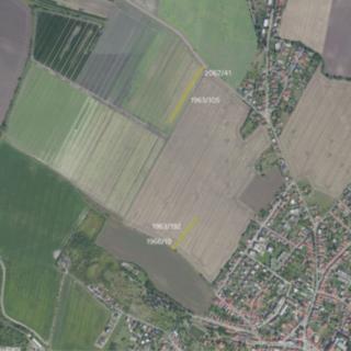 Prodej zemědělské půdy 3787 m² Sadská
