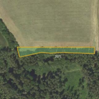 Prodej louky 2 651 m² Banín