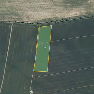 Prodej zemědělské půdy 6 776 m² Litohoř