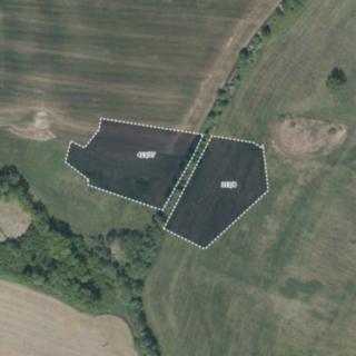 Prodej louky 22 816 m² Lázně Bělohrad