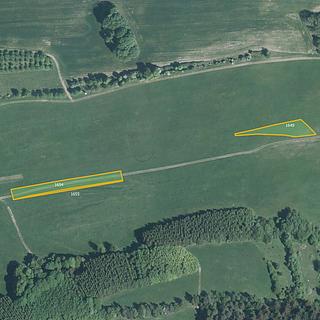 Prodej zemědělské půdy 2 798 m² Študlov