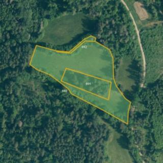 Prodej louky 30 339 m² Pačejov Týřovice