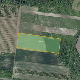 Prodej ostatních pozemků 25655 m² Želkovice