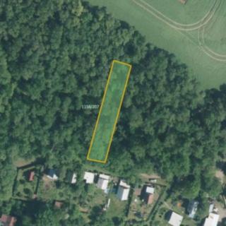 Prodej lesa 1 601 m² Ivančice Němčice