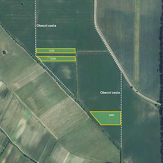 Prodej zemědělské půdy 34740 m&sup2; Dolní Dunajovice