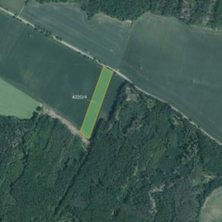 Prodej zemědělské půdy 11 604 m² Senorady