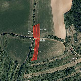 Prodej zemědělské půdy 14 142 m² Kyjov Bohuslavice