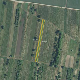 Prodej zemědělské půdy 5 714 m² Brumovice