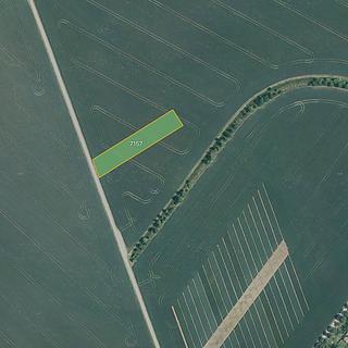 Prodej zemědělské půdy 3 631 m² Ořechov