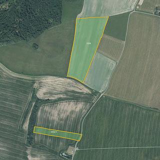 Prodej zemědělské půdy 28724 m² Nové Lublice