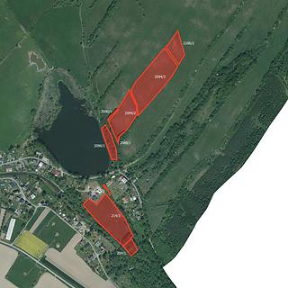 Prodej louky 64132 m&sup2; Město Albrechtice