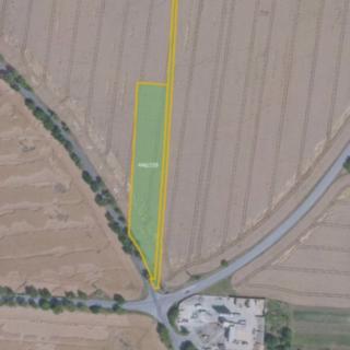 Prodej zemědělské půdy 5046 m² Klecany