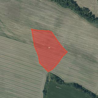 Prodej zemědělské půdy 27 615 m² Mohelnice Křemačov