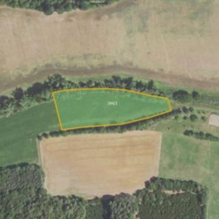 Prodej zemědělské půdy 14556 m² Milý