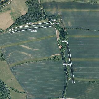 Prodej zemědělské půdy 7 194 m² Boršice