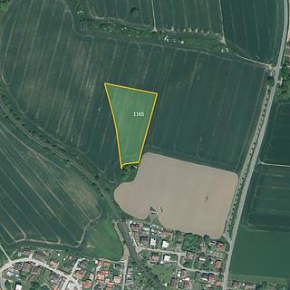 Prodej zemědělské půdy 18 914 m² Poběžovice Sedlec