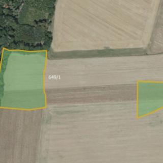 Prodej zemědělské půdy 21 338 m² Masojedy