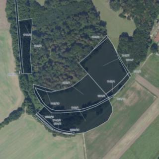 Prodej louky 21742 m² Nová Ves I