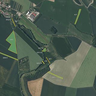 Prodej zemědělské půdy 76058 m&sup2; Děčany