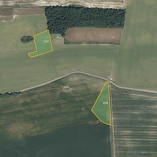 Prodej zemědělské půdy 8 514 m² Břežany II