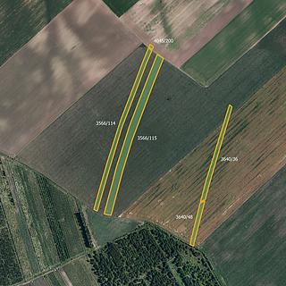 Prodej zemědělské půdy 63 840 m² Nový Poddvorov