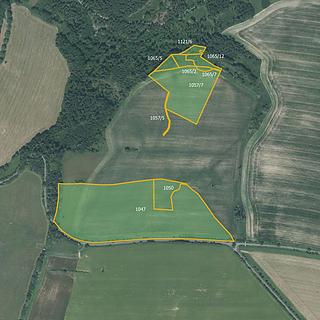 Prodej zemědělské půdy 65386 m² Nové Lublice